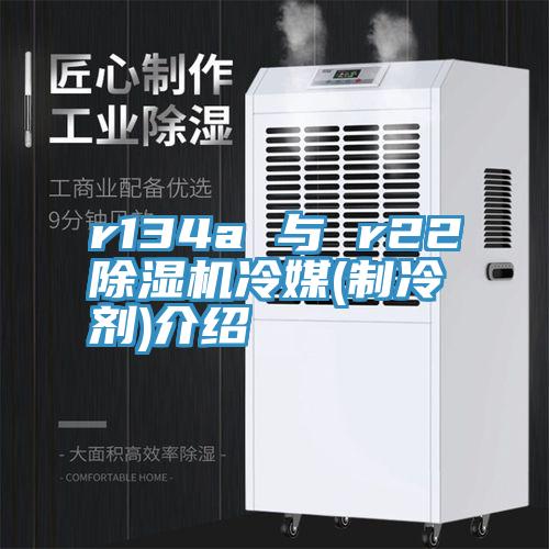 r134a 與 r22香蕉视频国产冷媒(製冷劑)介紹