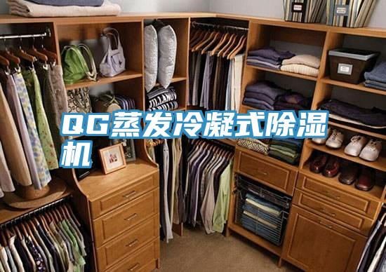 QG蒸發冷凝式香蕉视频国产