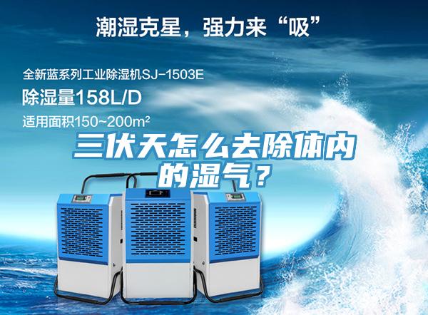 三伏天怎麽去除體內的濕氣？