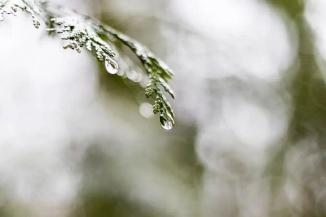 空氣濕度大帶來的危害有哪些，你知道嗎？