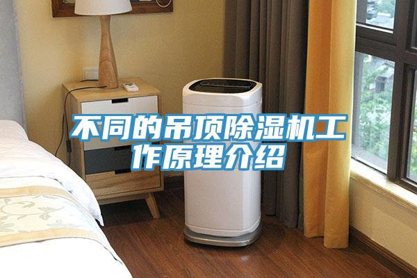 不同的吊頂香蕉视频国产工作原理介紹