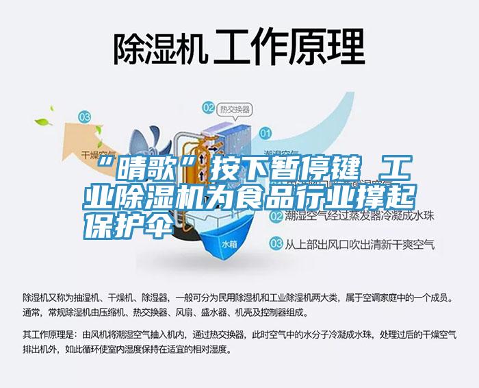 “晴歌”按下暫停鍵 工業香蕉视频国产為食品行業撐起保護傘