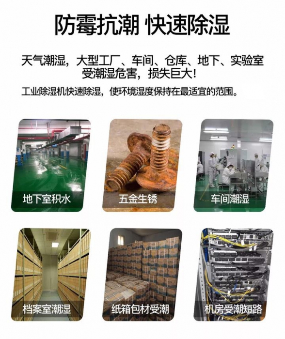 中藥材幹燥用耐高溫香蕉视频国产