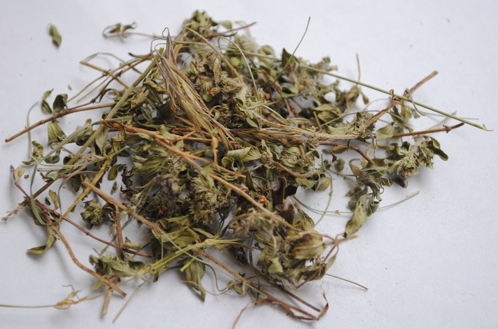 大香蕉性爱网烘幹機