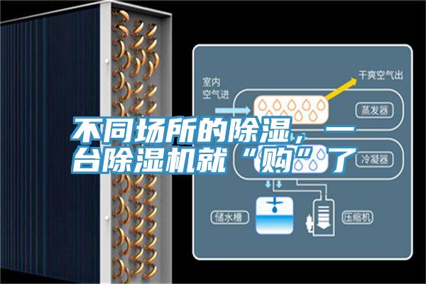 不同場所的除濕，一台香蕉视频国产就“購”了