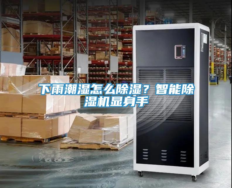 下雨潮濕怎麽除濕？智能香蕉视频国产顯身手