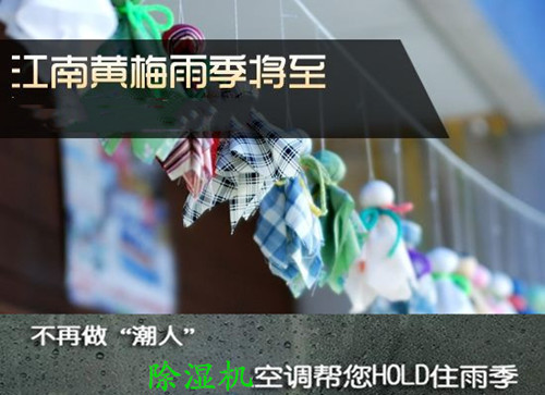 防潮香蕉视频国产