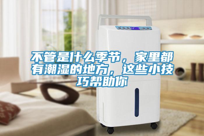 不管是什麽季節，家裏都有潮濕的地方，這些小技巧幫助你