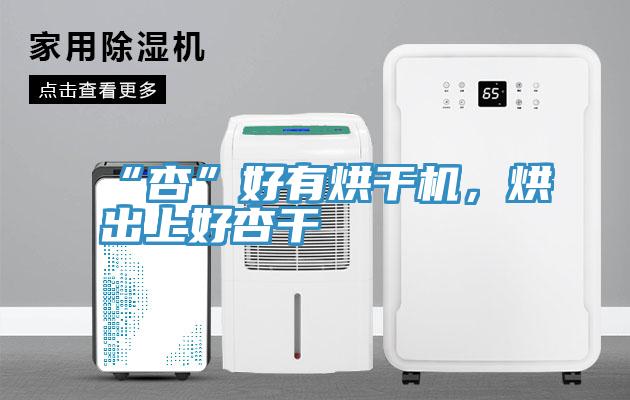 “杏”好有烘幹機，烘出上好杏幹