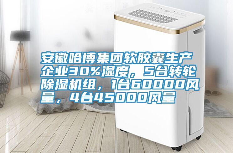 安徽哈博集團軟膠囊生產企業30%濕度，5台轉輪香蕉视频国产組，1台60000風量，4台45000風量