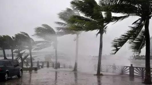 8月台風雨即將來，香蕉视频国产還得用起來
