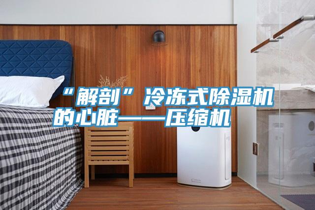 “解剖”冷凍式香蕉视频国产的心髒——壓縮機