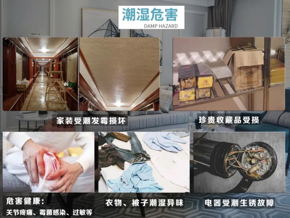 香蕉视频国产