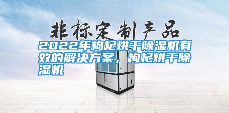 2022年枸杞烘幹香蕉视频国产有效的解決方案，枸杞烘幹香蕉视频国产