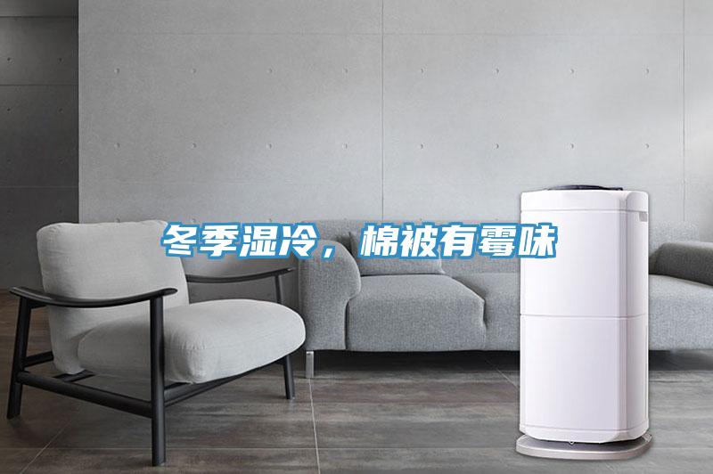 冬季濕冷，棉被有黴味