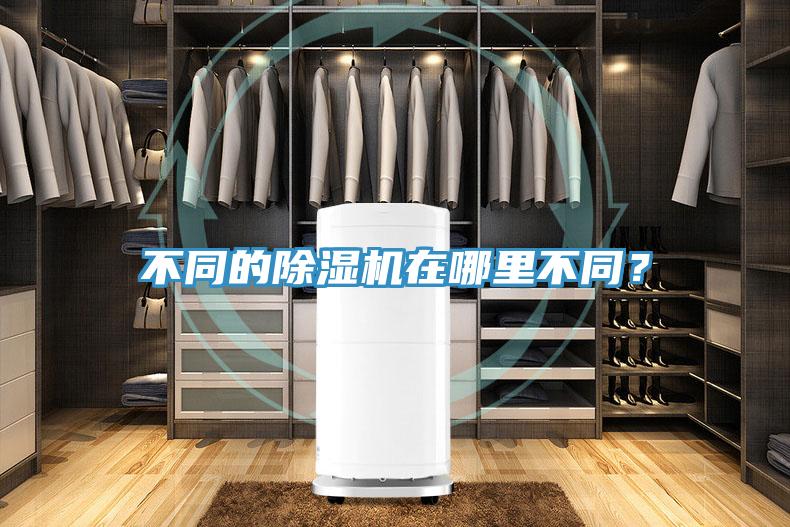 不同的香蕉视频国产在哪裏不同？