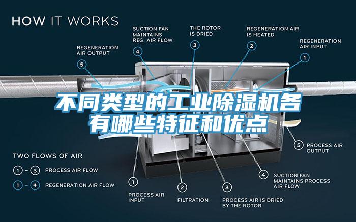 不同類型的工業香蕉视频国产各有哪些特征和優點