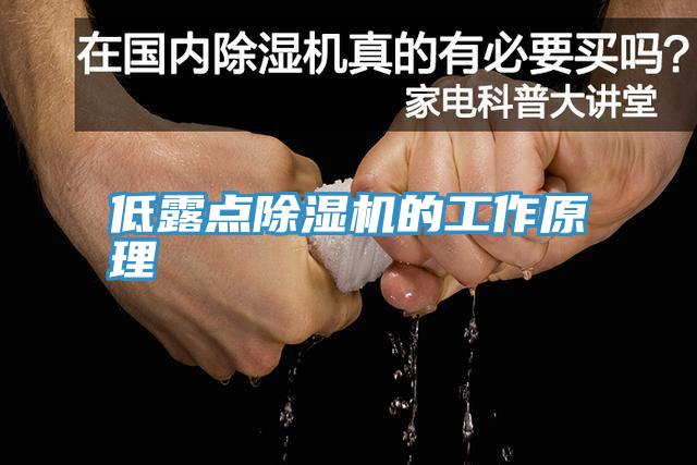 低露點香蕉视频国产的工作原理