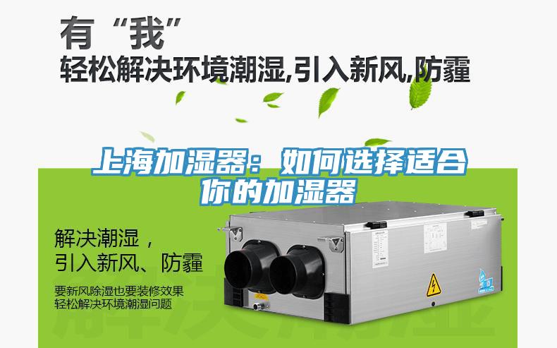 上海加濕器：如何選擇適合你的加濕器