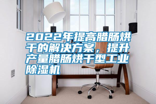 2022年提高臘腸烘幹的解決方案，提升產量臘腸烘幹型工業香蕉视频国产