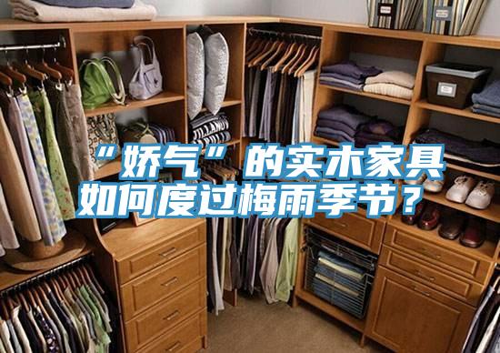 “嬌氣”的實木家具如何度過梅雨季節？