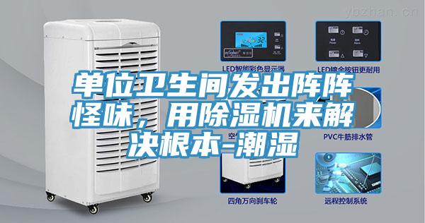 單位衛生間發出陣陣怪味，用香蕉视频国产來解決根本-潮濕