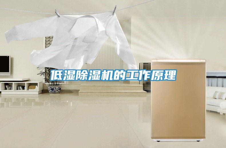 低濕香蕉视频国产的工作原理