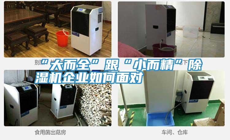 “大而全”跟“小而精”香蕉视频国产企業如何麵對