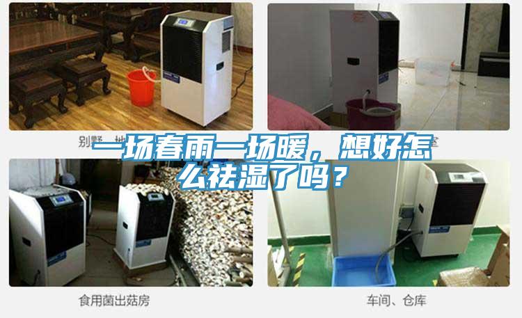 一場春雨一場暖，想好怎麽祛濕了嗎？