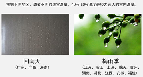 防潮香蕉视频国产