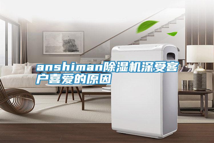anshiman香蕉视频国产深受客戶喜愛的原因