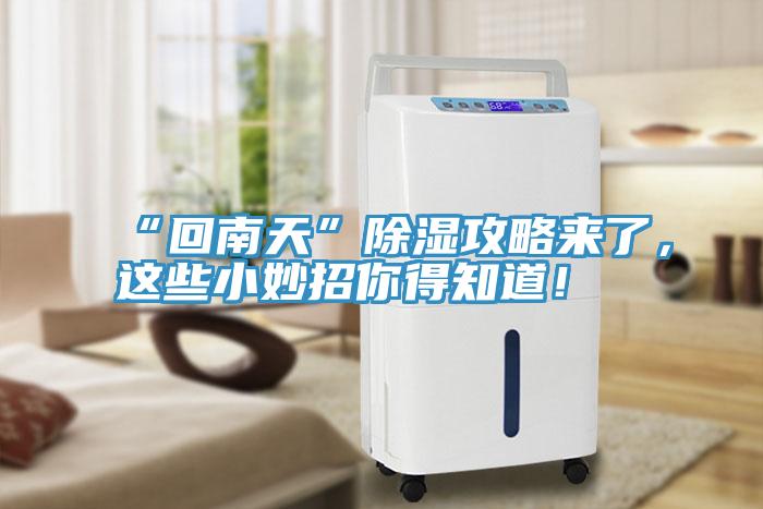 “回南天”除濕攻略來了，這些小妙招你得知道！