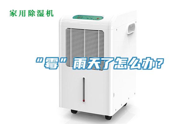 “黴”雨天了怎麽辦？