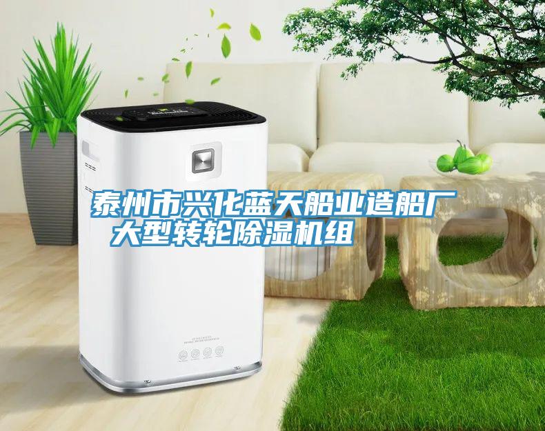 泰州市興化藍天船業造船廠 大型轉輪香蕉视频国产組