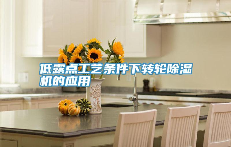 低露點工藝條件下轉輪香蕉视频国产的應用