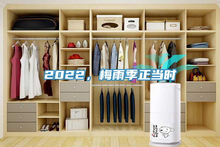 2022，梅雨季正當時