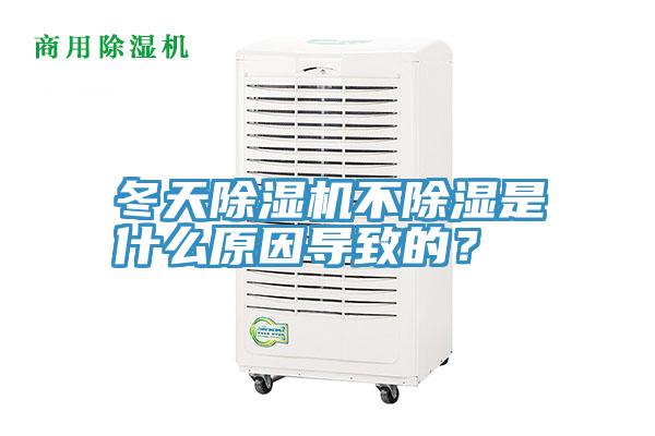 冬天香蕉视频国产不除濕是什麽原因導致的？