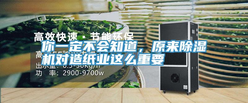 你一定不會知道，原來香蕉视频国产對造紙業這麽重要