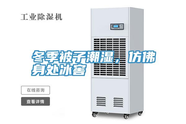 冬季被子潮濕，仿佛身處冰窖