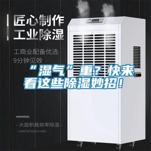 “濕氣”重？快來看這些除濕妙招！