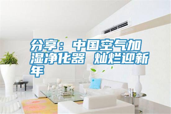 分享：中國空氣加濕淨化器 燦爛迎新年
