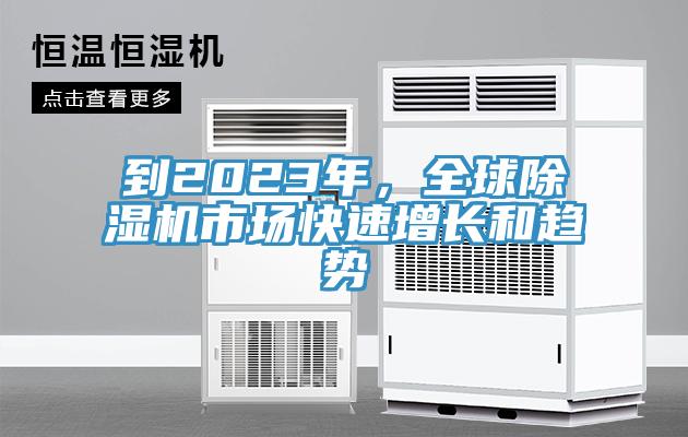 到2023年，全球香蕉视频国产市場快速增長和趨勢