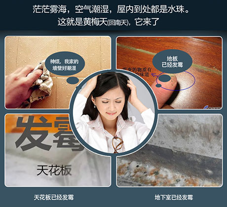 家庭別墅的地下室、衛生間、儲物室等該如何除濕？