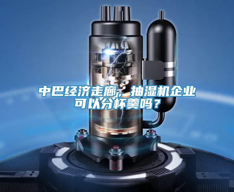 中巴經濟走廊，抽濕機企業可以分杯羹嗎？