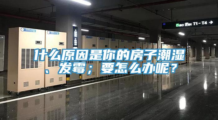 什麽原因是你的房子潮濕、發黴；要怎麽辦呢？
