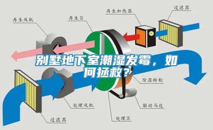 別墅地下室潮濕發黴，如何拯救？