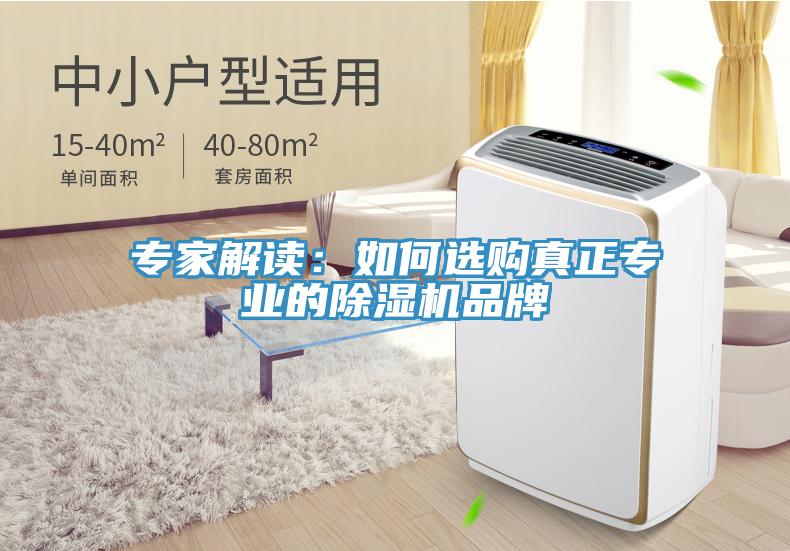 專家解讀：如何選購真正專業的香蕉视频国产品牌