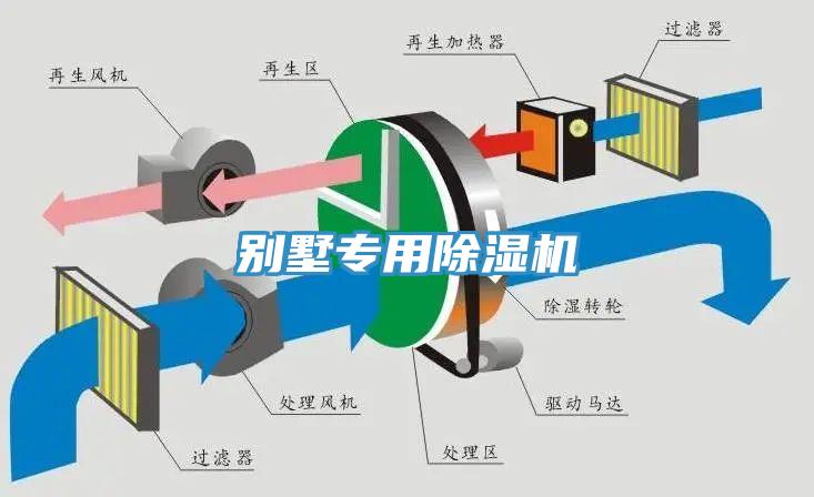 別墅專用香蕉视频国产