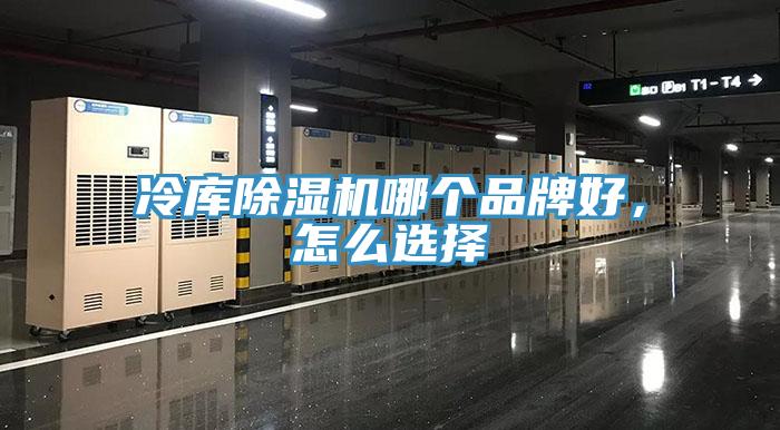 冷庫香蕉视频国产哪個品牌好，怎麽選擇