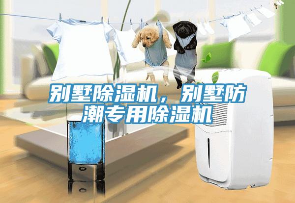 別墅香蕉视频国产，別墅防潮專用香蕉视频国产